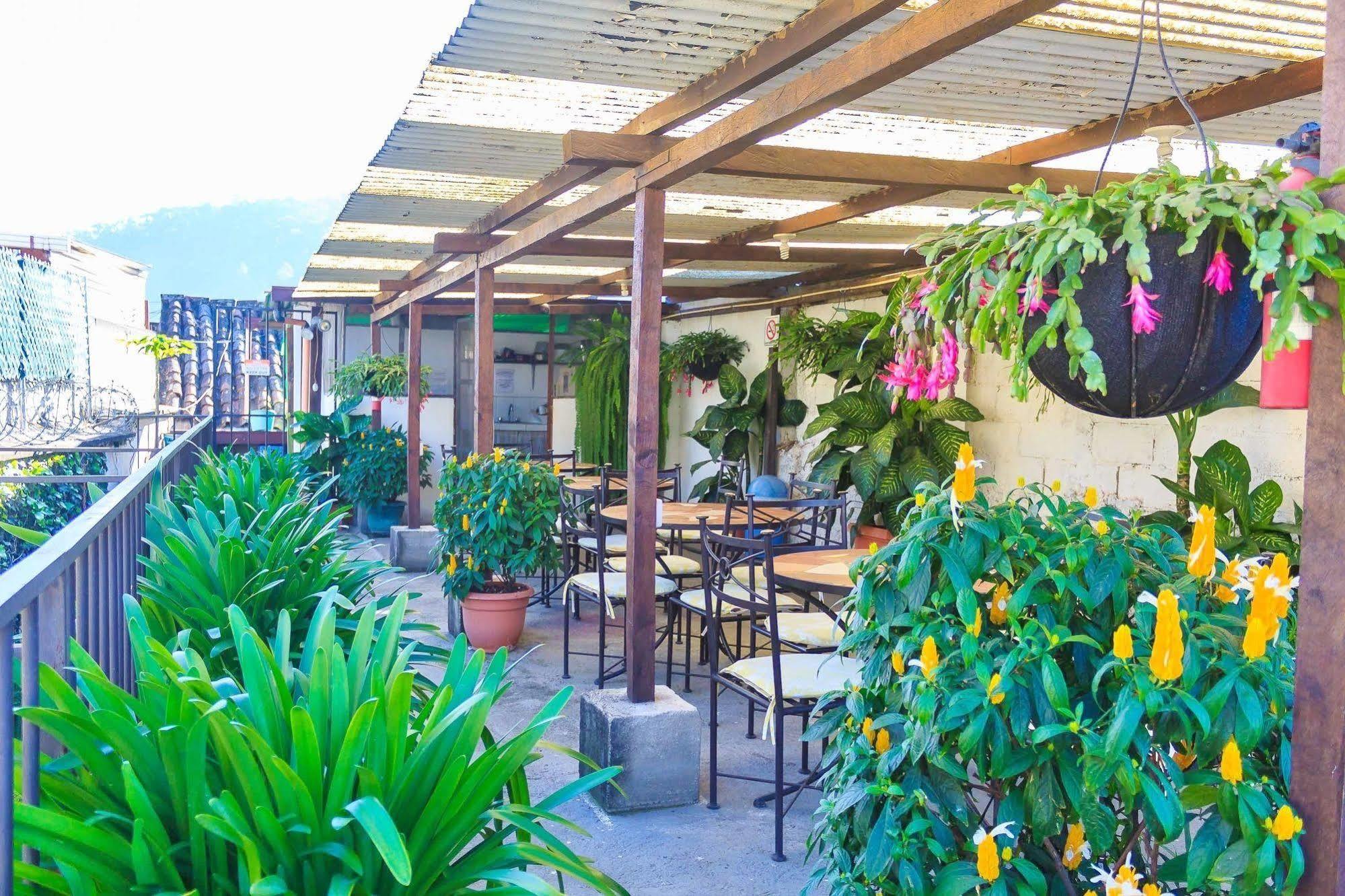 Hostal Antigua Exterior foto