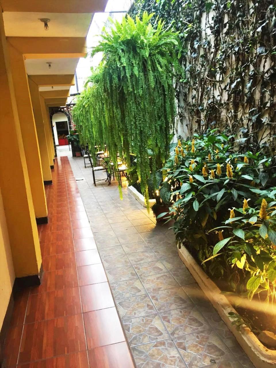 Hostal Antigua Exterior foto